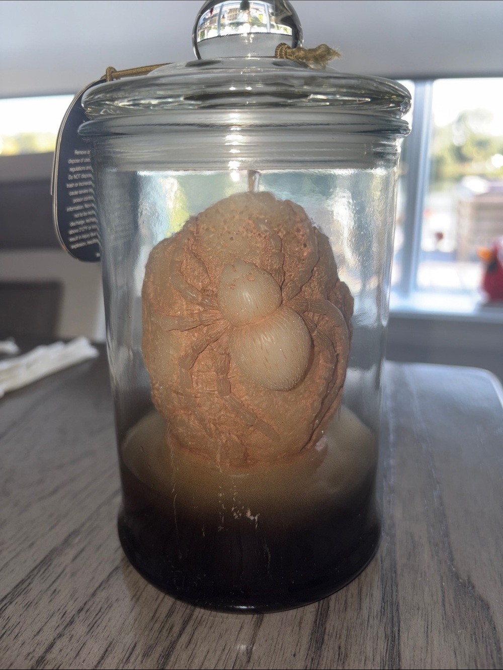 Threshold Sculpted Brain With Spiders 🕷️ Jar Candle in Tan and Black